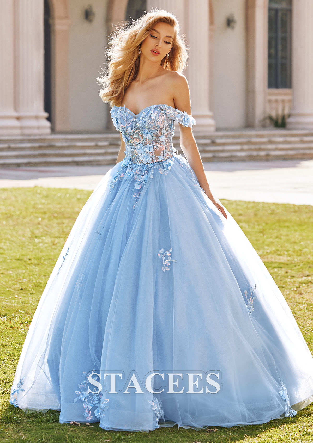Tulle Gowns Dresses Images 2025 Tulle Gowns Dresses Images 2025