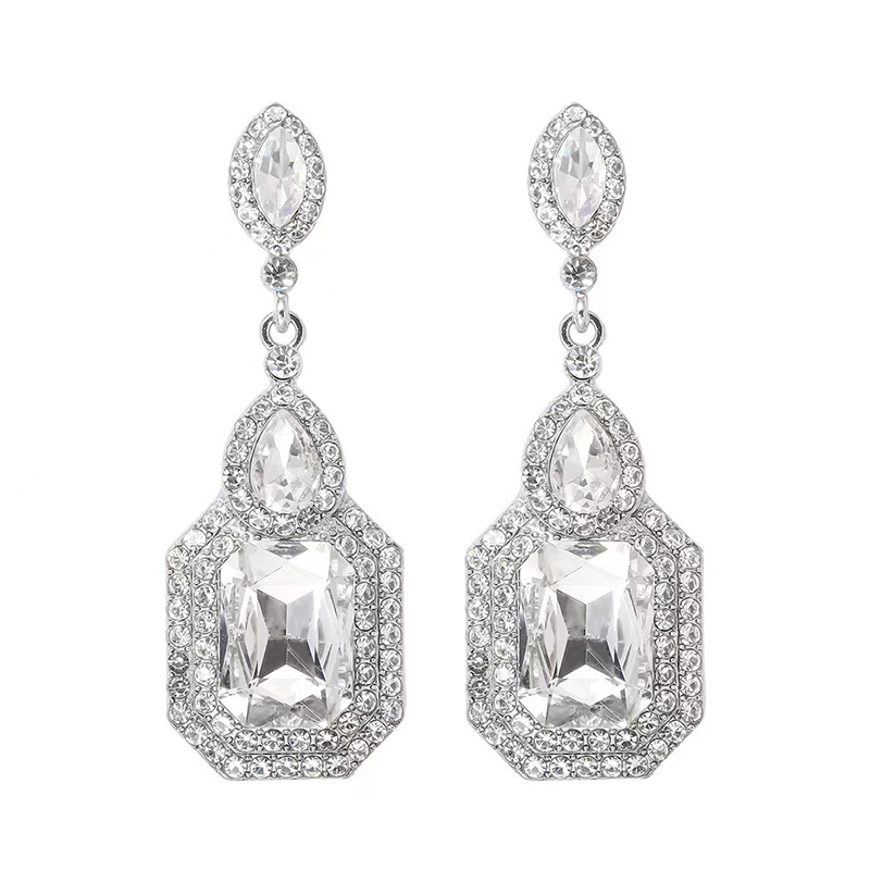 Elegant Charming Women's e Alloy Earrings